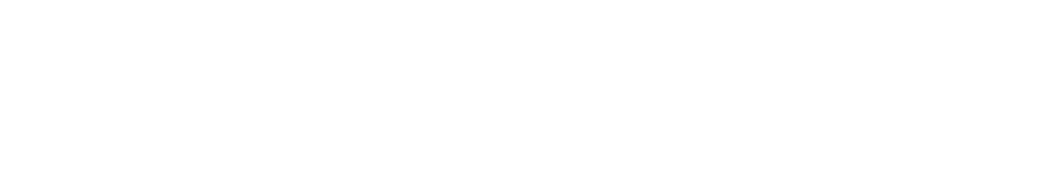 SHO Threat & Risk Management (STRM™)